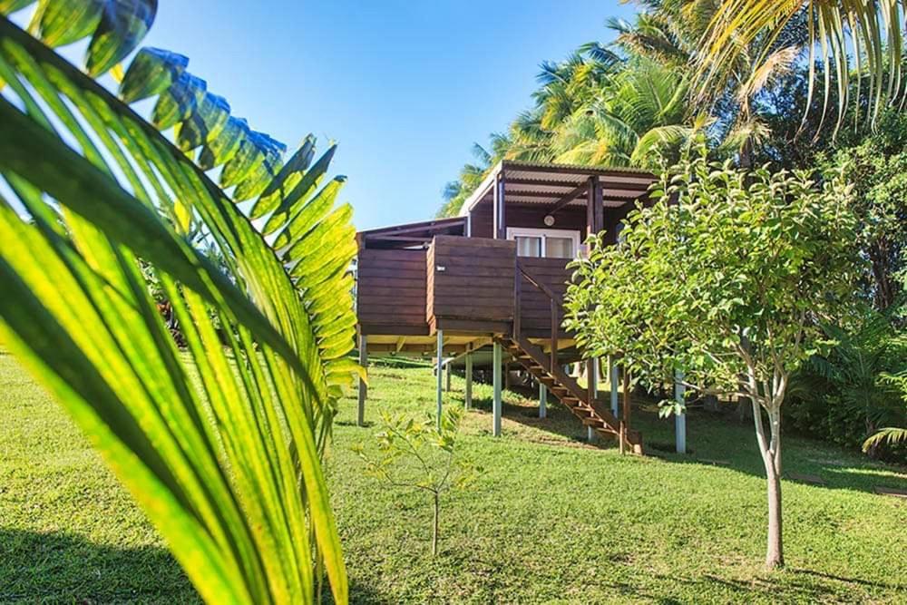 L'Escapade Creole Jacuzzi Privatif Bungalow Ananas Saint-Joseph Esterno foto